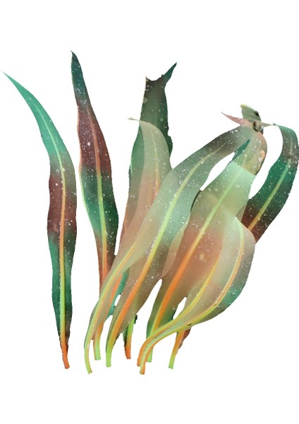 Akvaryum Balık Tankı Dekorasyonu, Boyut: Hz005 43Cm Büyük Portakal (Yurt Dışından)