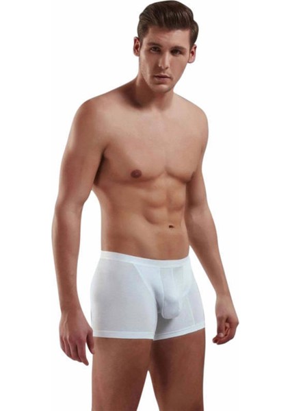 Adonis Boxer 1770