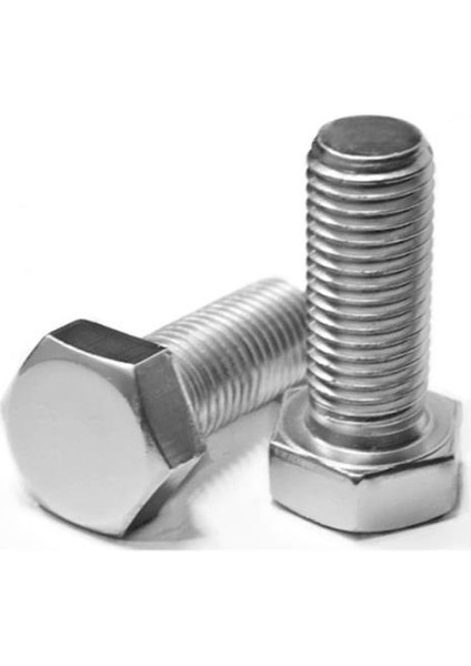 Çelik Altı Köşe 8.8 Civata 5X45 mm 20'li Paket Tam Paso
