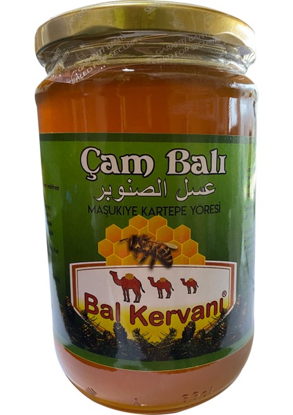 850 gr Çam Balı