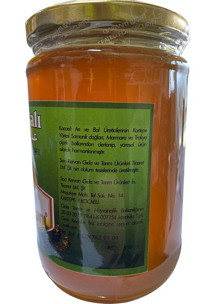 850 gr Çam Balı fiyatları