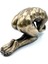 Wise Body Biblo 3
