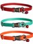 Kedi Boyun Tasması Zilli 3'lü Set 20-37 cm Kırmızı Turuncu ve Turkuaz 1