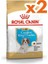 Cavalier King Charles Puppy Yavru Köpek Maması 1,5 kg x 2 Adet 1