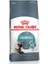 Hairball Care Yetişkin Kedi Maması 2 kg 2