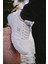 Stein Rahat Taban Erkek Sneaker 2