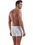 Adonis Boxer 1770 2