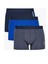 Kısa Paça 3'lü Boxer 80307 2