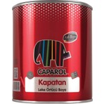 Filli Boya Kapatan 2,5 Lt