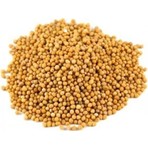 Attar Dünyası Sarı Hardal Tohumu 100 Gr.