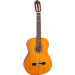 Valencia VC104T Sap Çelikli Naturel Klasik Gitar (Kılıf Hediyeli)