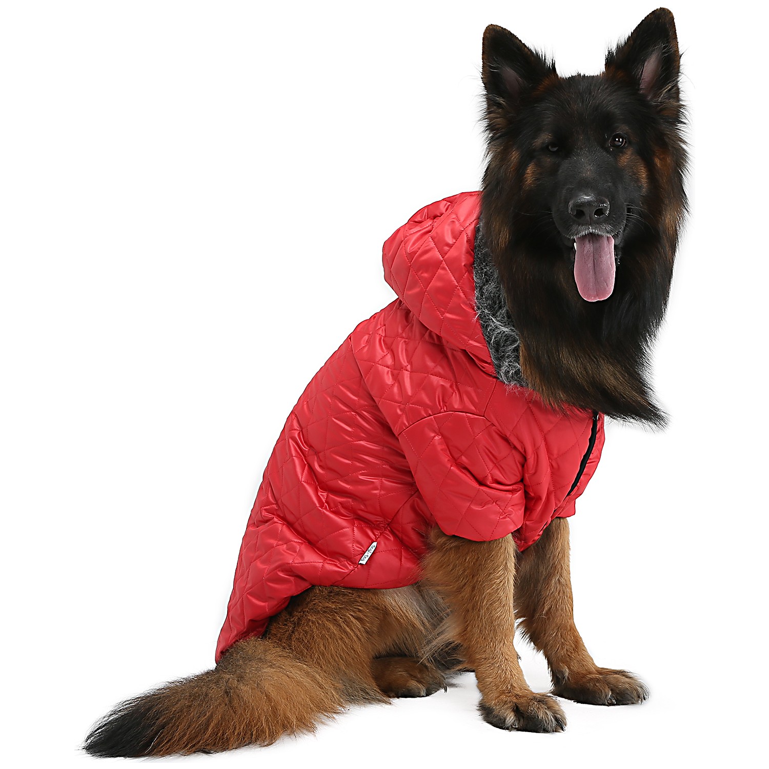 puf köpek