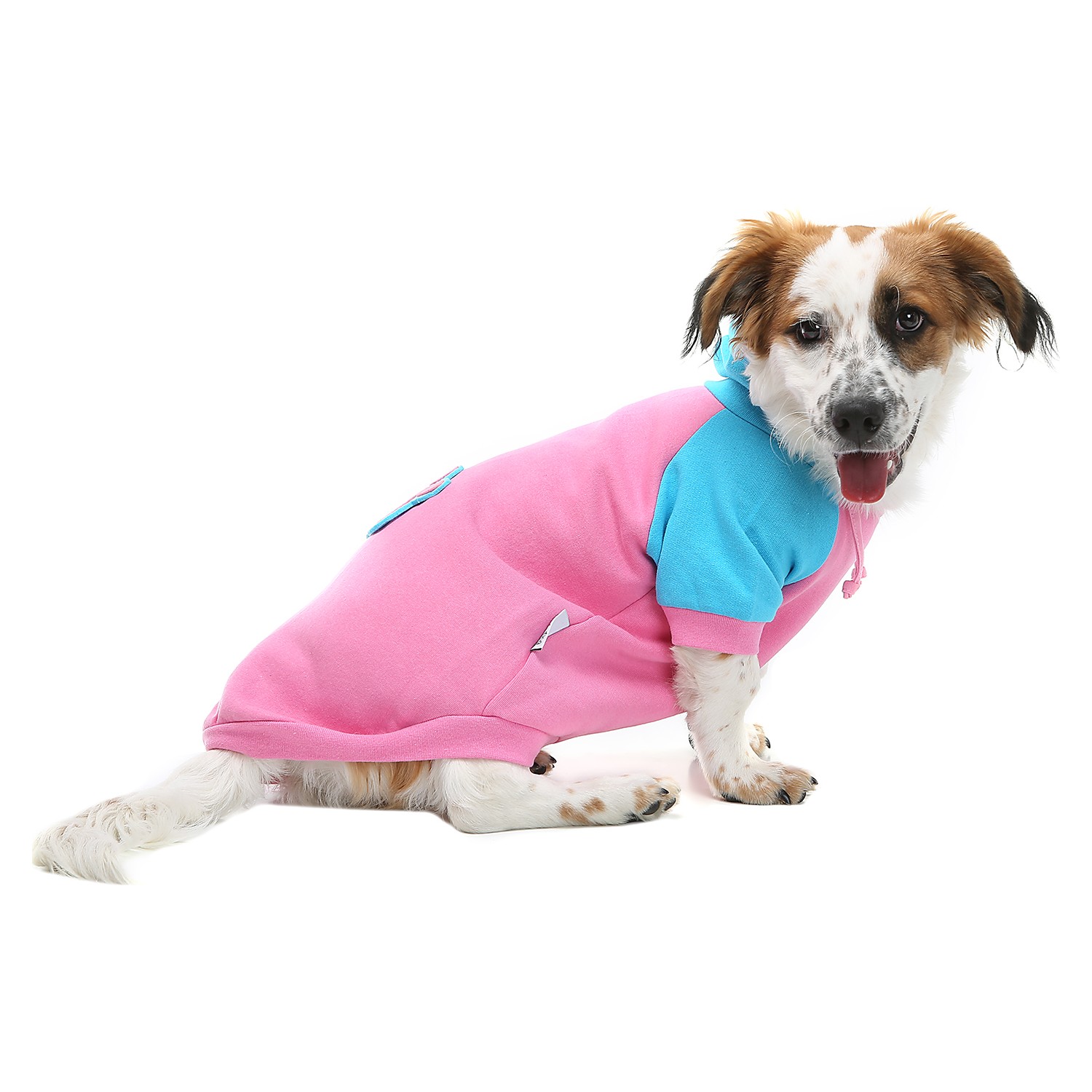 Dogi &amp; Dog Pink Pati Köpek Sweati Fiyatı Taksit Seçenekleri