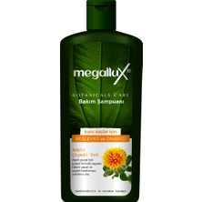 Megallux Botanicals Care Kuru, Saçlar İçin Besleyici Ve Onarıcı Şampuan 500 Ml Aspir Çiçeği Özlü