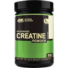 Optimum Nutrition Micronized Creatine Powder 317 Gr
