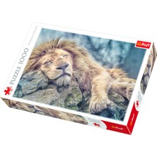 Trefl 1000 Sleeping Lion