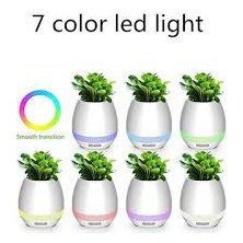 Smart Music Flower Pot Mavi