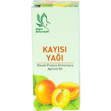 Doğan Baharat Kayısı Yağı 20 Cc