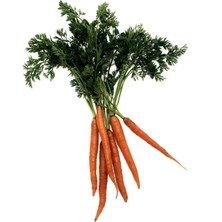 Tisserand Havuç Tohumu (Carrot Seed) Yağı 9 Ml