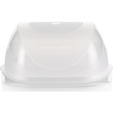 Tupperware Orta Peynir Dünyası