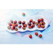 Tupperware Berrak Çerezlik İnce