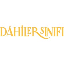 Dahiler Sınıfı:Einstein Sınırsız Deha - Pierdomenico Baccalario