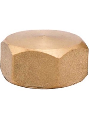 Güney - 1/2 Dişi Tapa