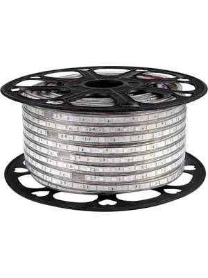 Foblight Dış Mekan 220Volt Gün Işığı Şerit Led