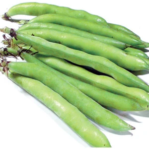 Bakla (Sakız) 50 Gram