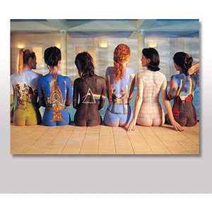 Ahşap Tablo Pink Floyd Albüm Kapakları Ve Kızlar 25x35 Cm