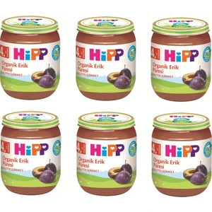 HiPP Organik Erik Püresi 125 gr. 6 Adet