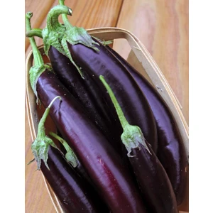 Kemer Patlıcan 10 Gram