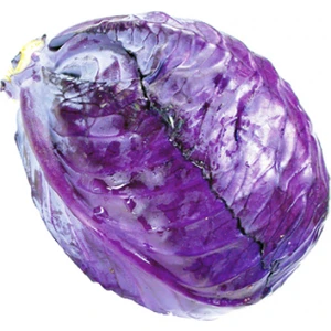 Kırmızı - Mor Lahana 10 Gram