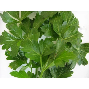 D`Giant İtaliana Maydanoz (İthal) 10 Gram