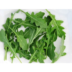 Roka Geniş Yaprak 10 Gram