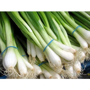 Yeşil Soğan 10 Gram