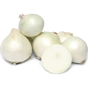 Beyaz Soğan 5 Gram