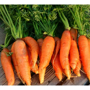 Nantes Havuç 10 Gram