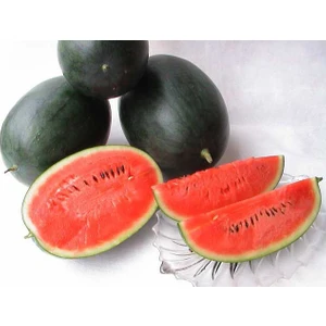 Siyah Karpuz 10 Gram