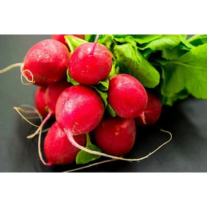 İri Kırmızı Turp 10 Gram