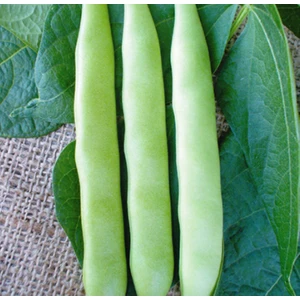 Fasulye (SİMBO) 50 Gram