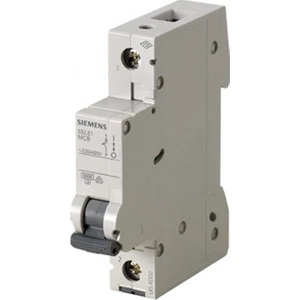 Sıemens 1*10A C Tipi Monofaze 6Ka W Otomat 5Sl6110-7Ya