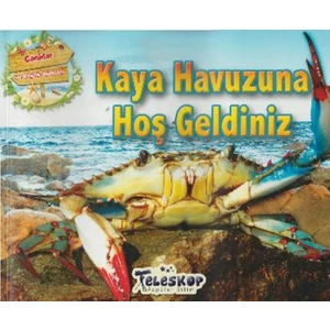 Kaya Havuzuna Hoş Geldiniz - Ruby Tuesday Books