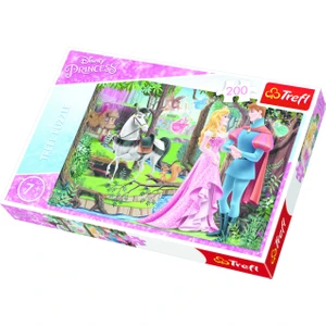 200 Disney Princess,Meeting in The For