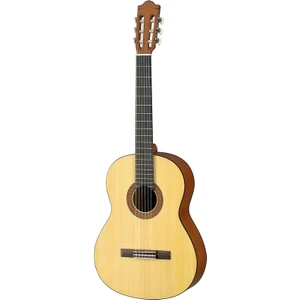 C40M Klasik Gitar (Mat Natural)