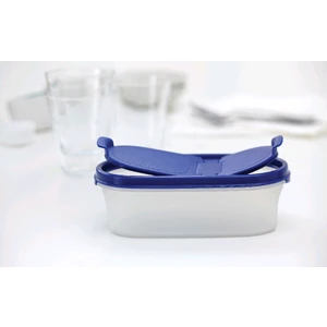 Oval 500 Ml Saklama Kabı