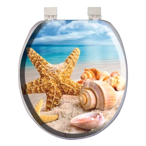 Süngerli Desenli Klozet Kapağı Deniz Kabuğu Desenli
