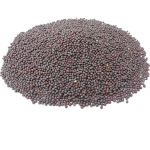 Attar Dünyası Siyah Hardal Tohumu 100 Gr.