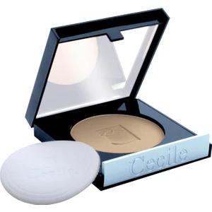 Islak ve Kuru Kullanımlı Pudra / Invisible Wet&Dry Powder 10