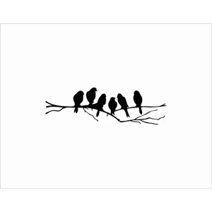 Stickermarket Kuşlar Sticker Beyaz